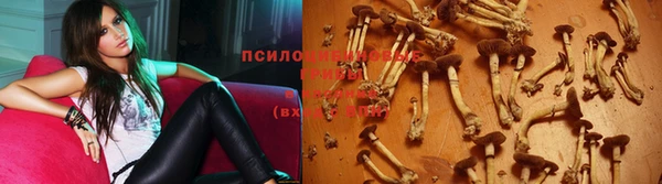 apvp Дмитровск