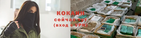 бутират Дмитриев