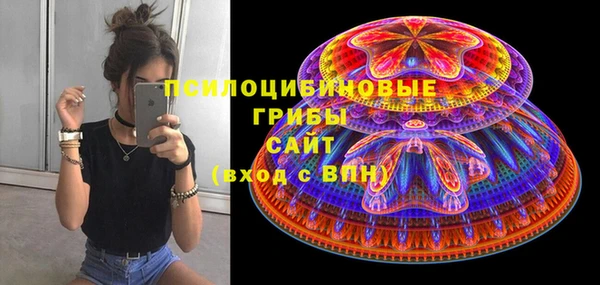 бутират Дмитриев