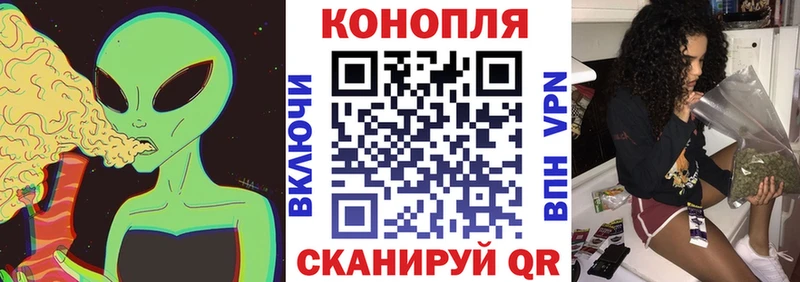 Шишки марихуана гибрид  гидра как зайти  Пущино 